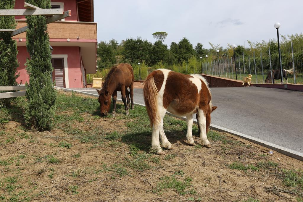Agriturismo Ciociaro " Il Colle " Hotel Ristorante Ceprano Dış mekan fotoğraf